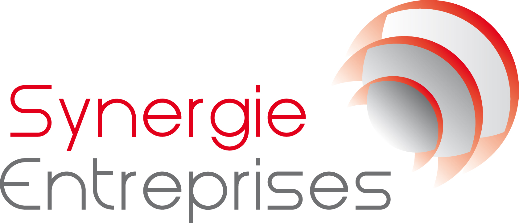 LOGO-SYNERGIE-ENTREPRISES.jpg