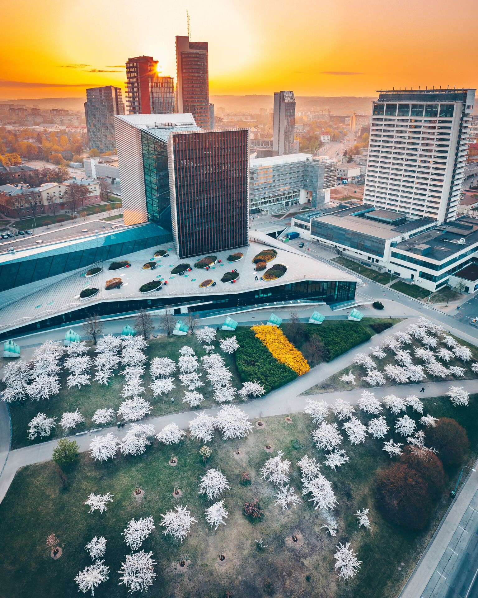 Vilnius2019-Sakuru-parkas-Andrius-Aleksandravicius.jpg