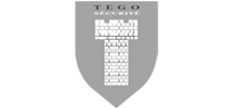 logo_TegoSecurite-1.png